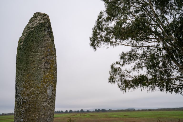 Menhir-Pedra-Alta-Antela-3